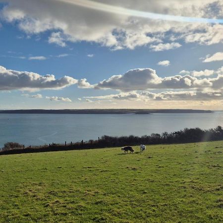 Coast Path Camping Saint Ishmaels  Exterior foto