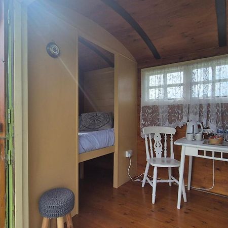 Coast Path Camping Saint Ishmaels  Exterior foto