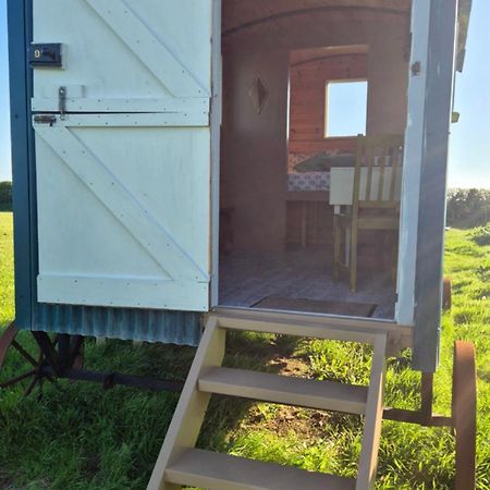 Coast Path Camping Saint Ishmaels  Exterior foto