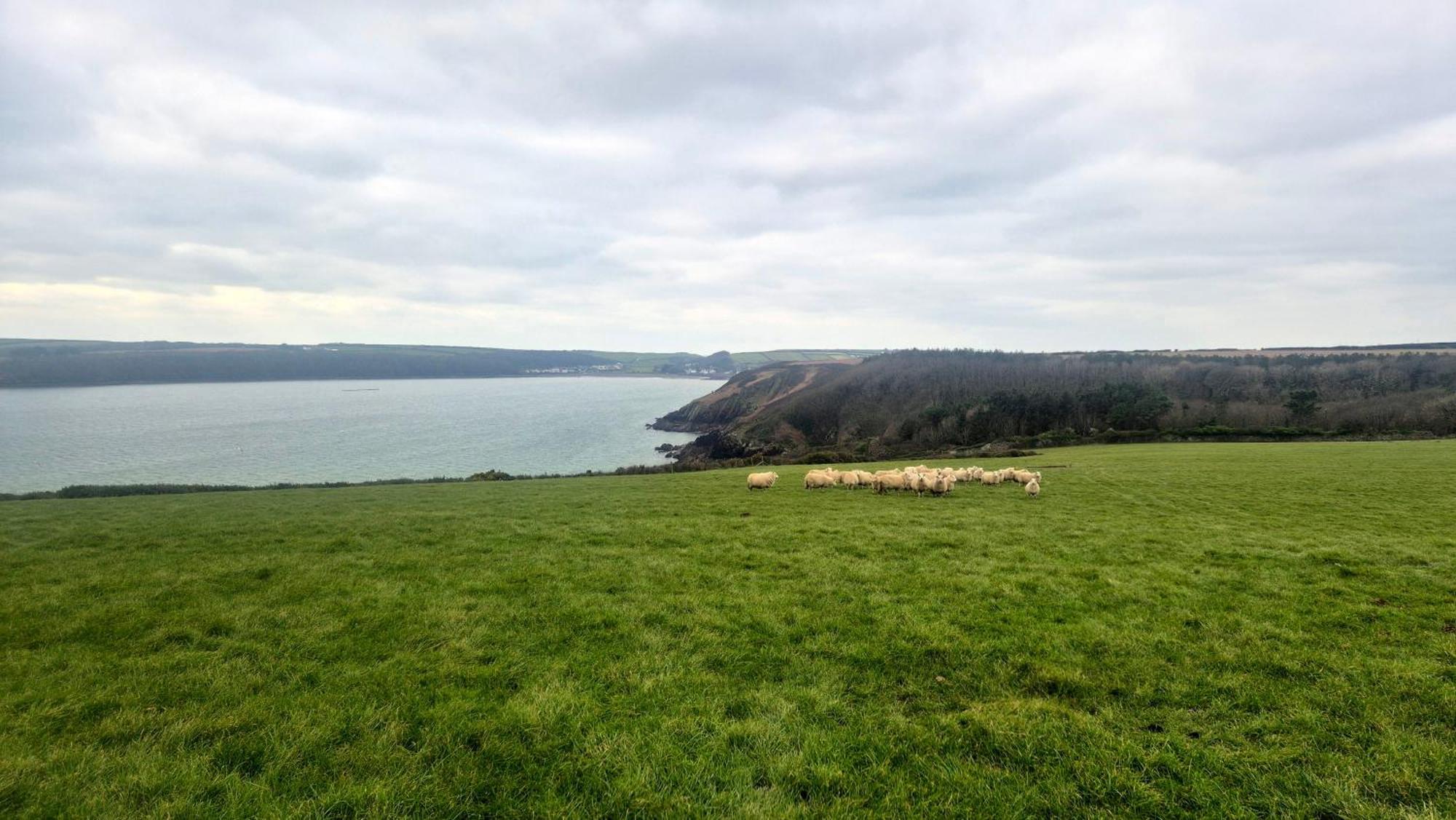Coast Path Camping Saint Ishmaels  Exterior foto