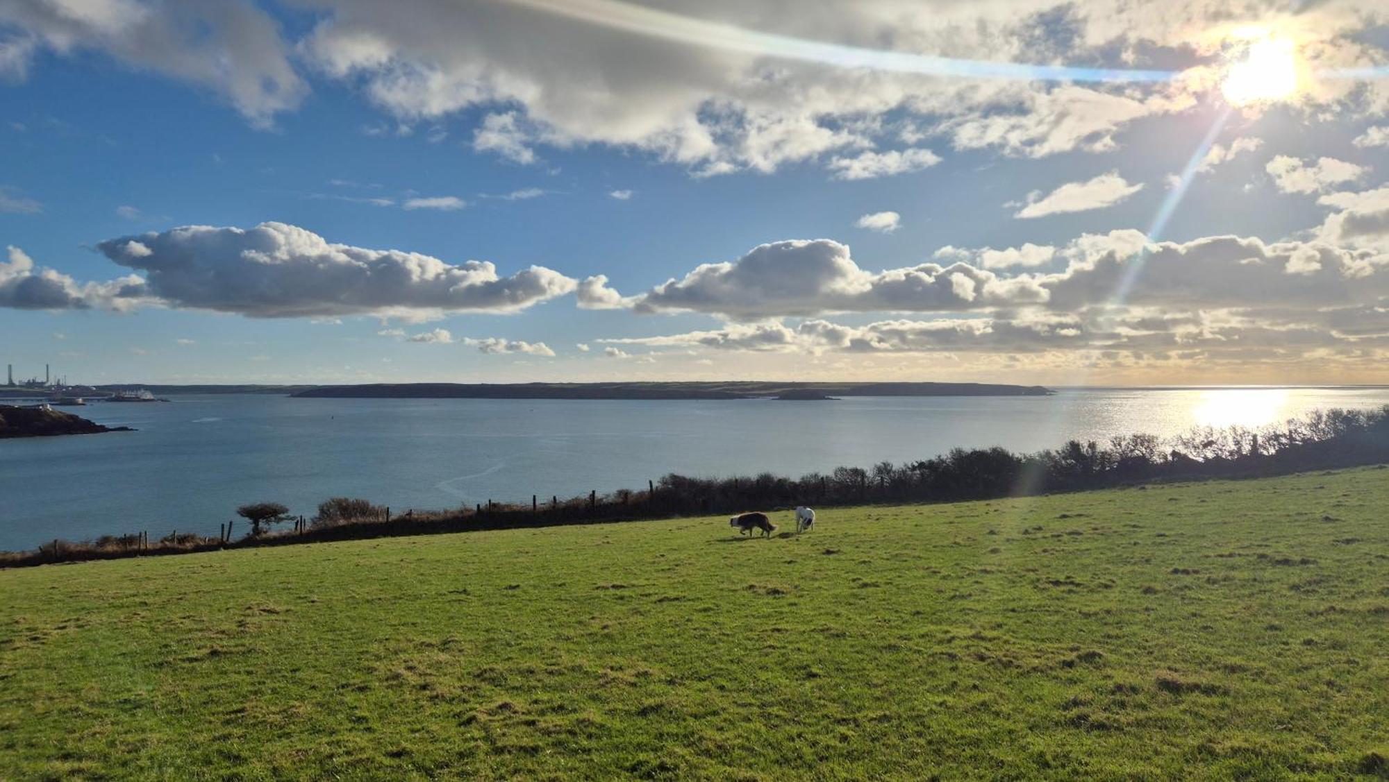 Coast Path Camping Saint Ishmaels  Exterior foto